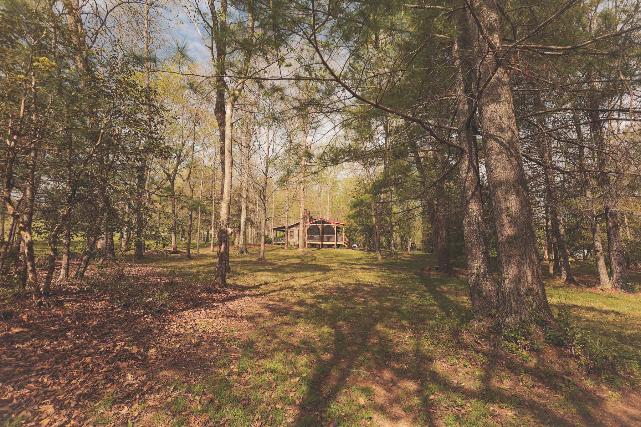1854 Catoosa Road Wartburg, TN 37887 - Photo 7 of 100