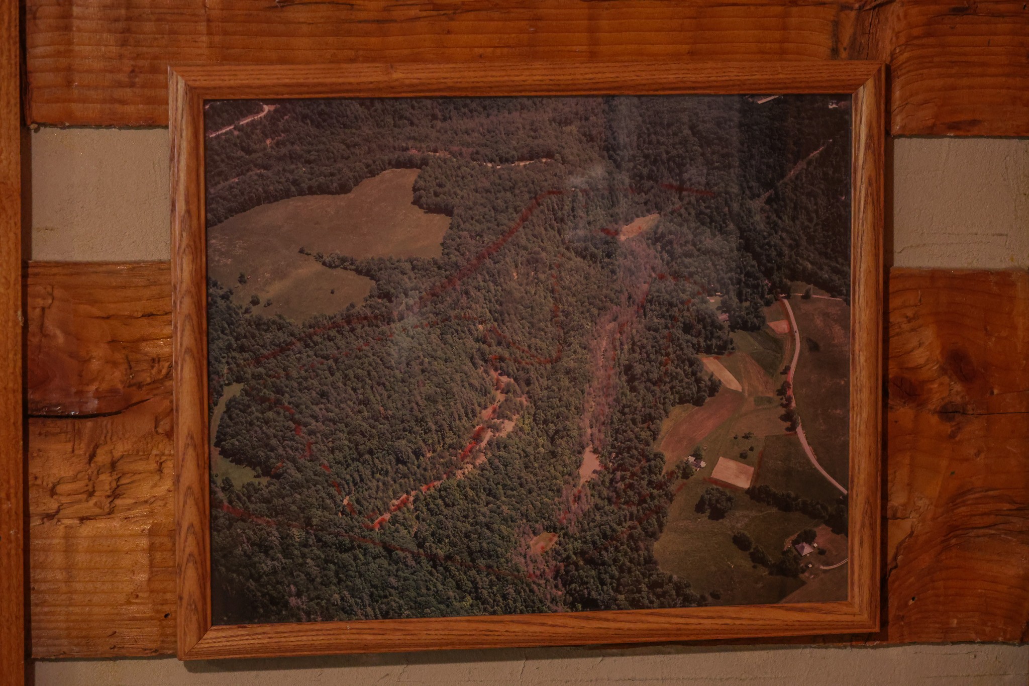 1854 Catoosa Road Wartburg, TN 37887 - Photo 71 of 100