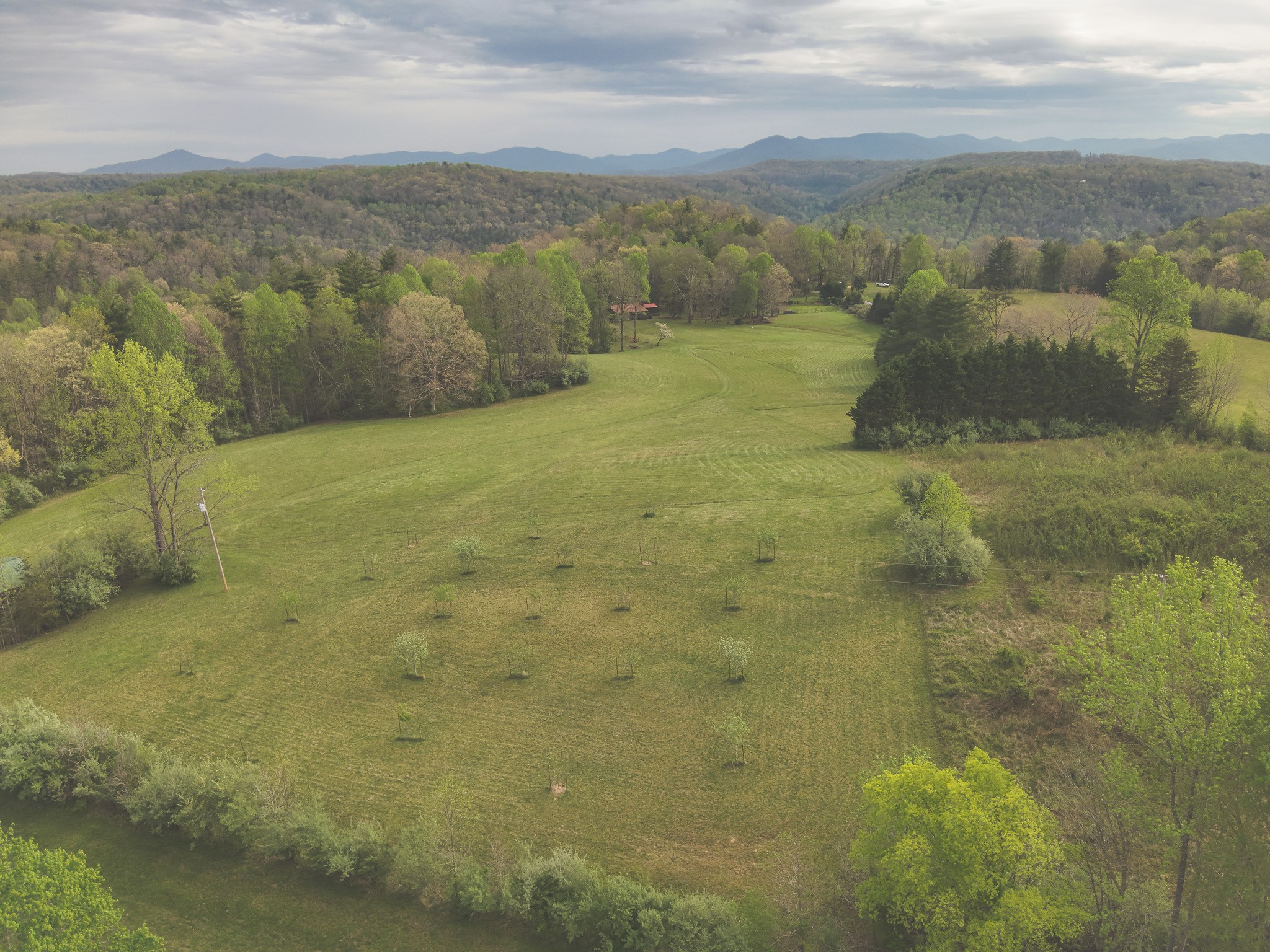 1854 Catoosa Road Wartburg, TN 37887 - Photo 79 of 100 a view of an outdoor space and mountain view