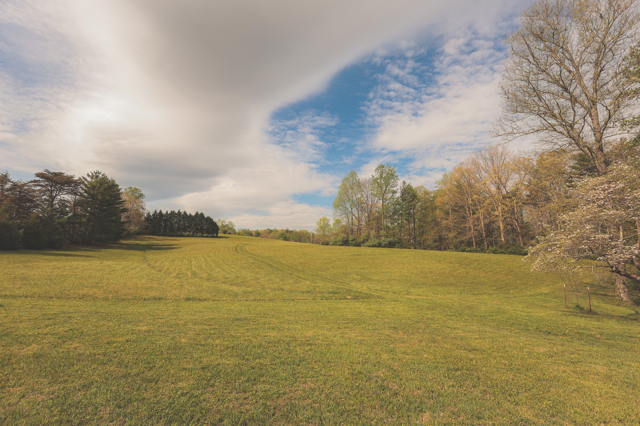 1854 Catoosa Road Wartburg, TN 37887 - Photo 82 of 100