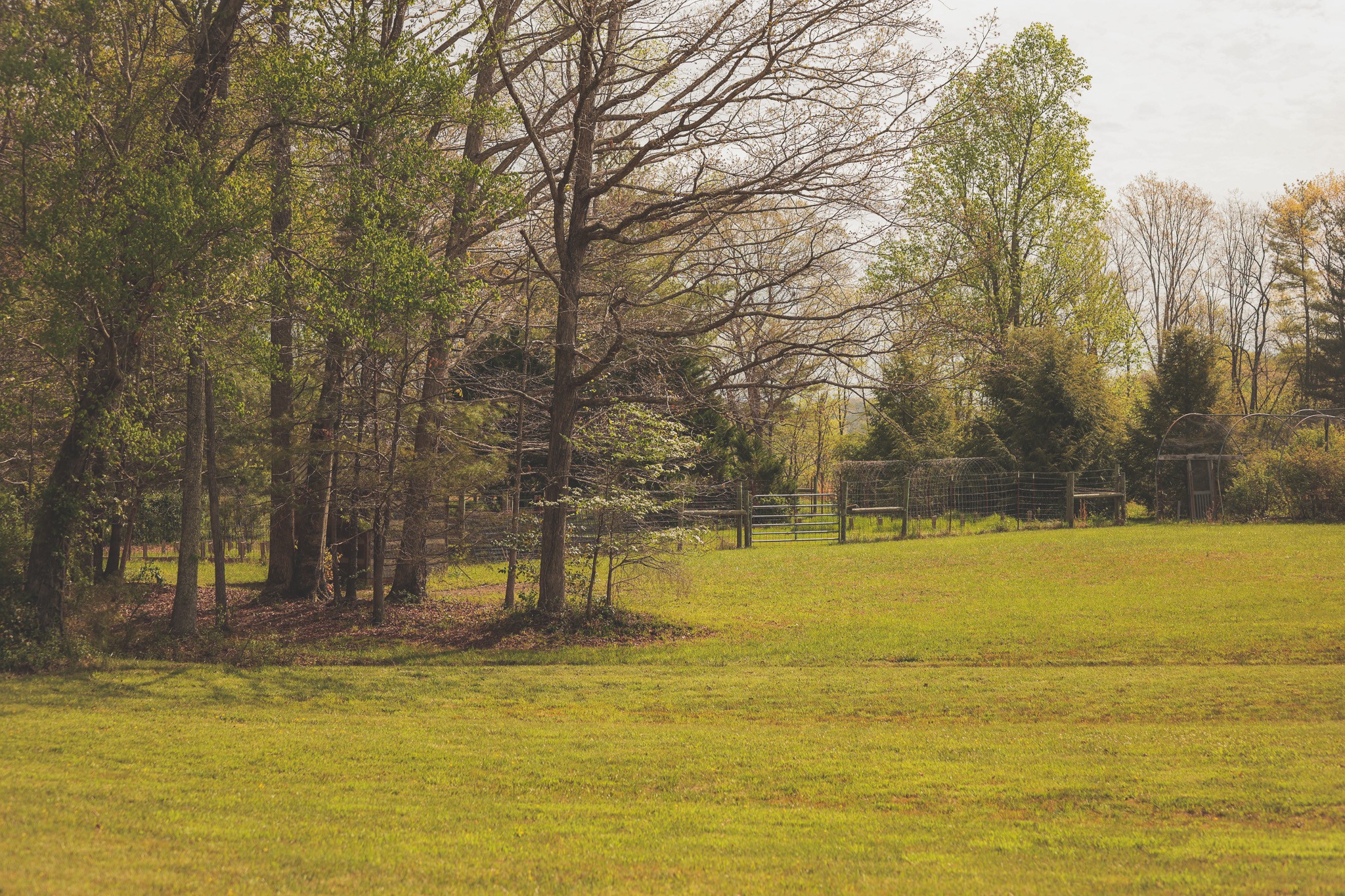 1854 Catoosa Road Wartburg, TN 37887 - Photo 84 of 100 a view of a yard with swimming pool