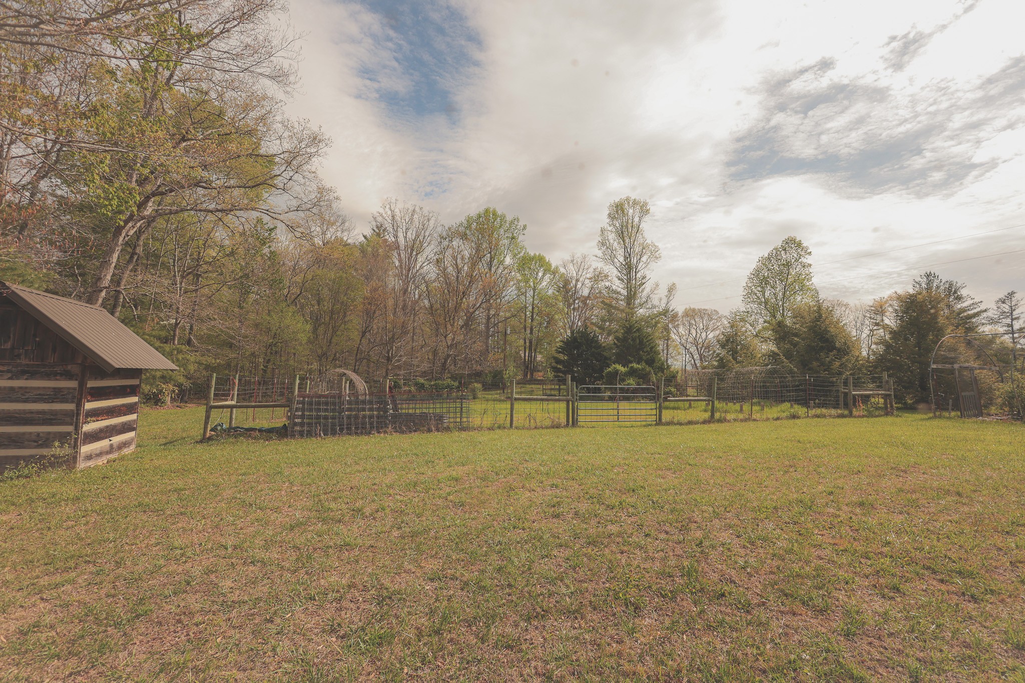 1854 Catoosa Road Wartburg, TN 37887 - Photo 87 of 100 a view of a field with an trees in the background