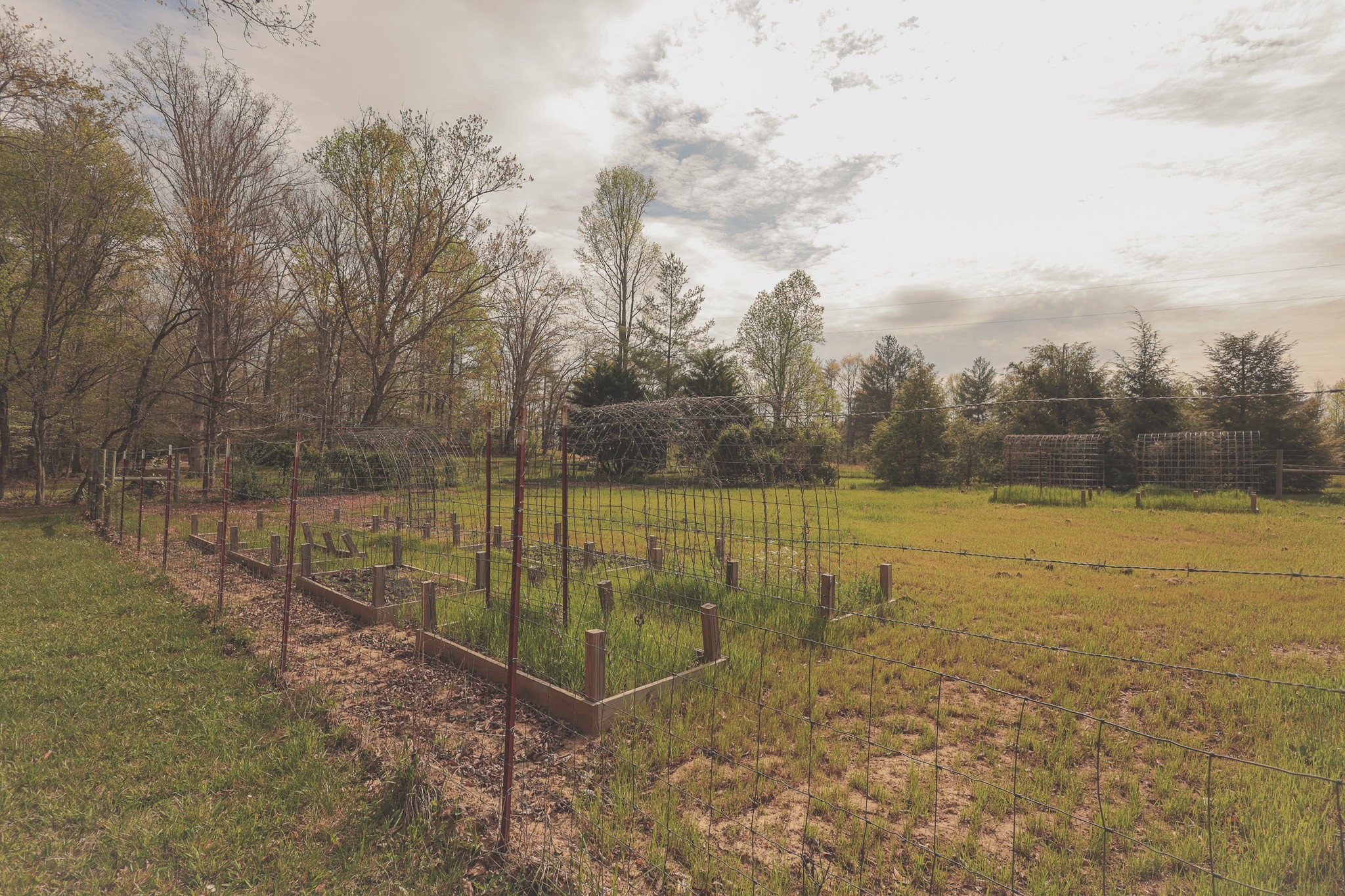 1854 Catoosa Road Wartburg, TN 37887 - Photo 89 of 100