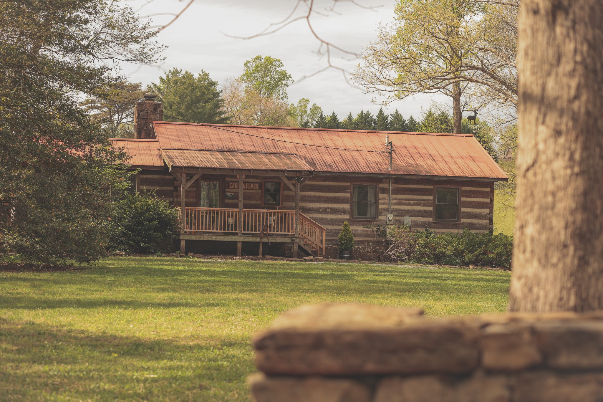 1854 Catoosa Road Wartburg, TN 37887 - Photo 97 of 100