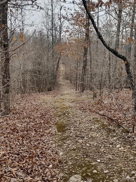 8850 State Hwy DD Niangua, MO 65713 - Photo 11 of 43