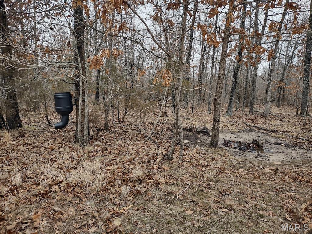 8850 State Hwy DD Niangua, MO 65713 - Photo 12 of 43