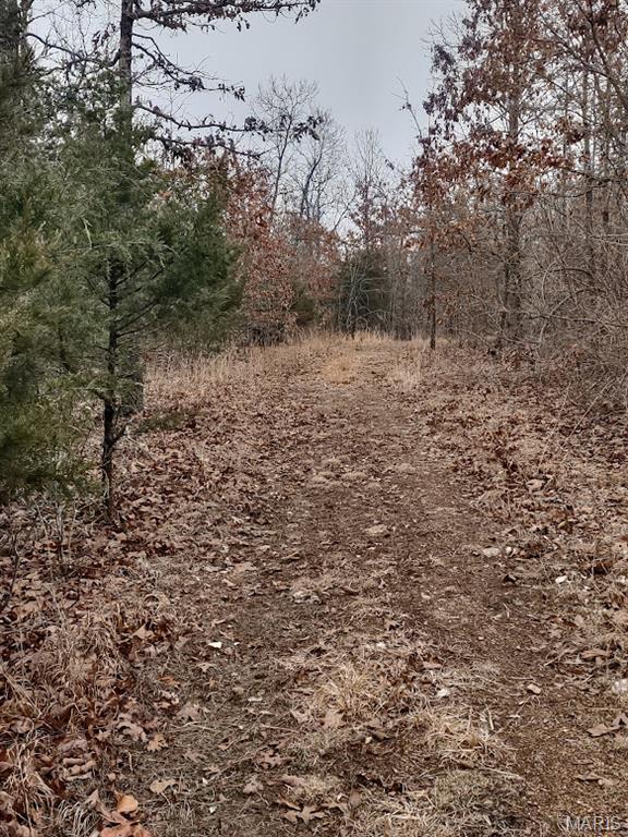 8850 State Hwy DD Niangua, MO 65713 - Photo 13 of 43