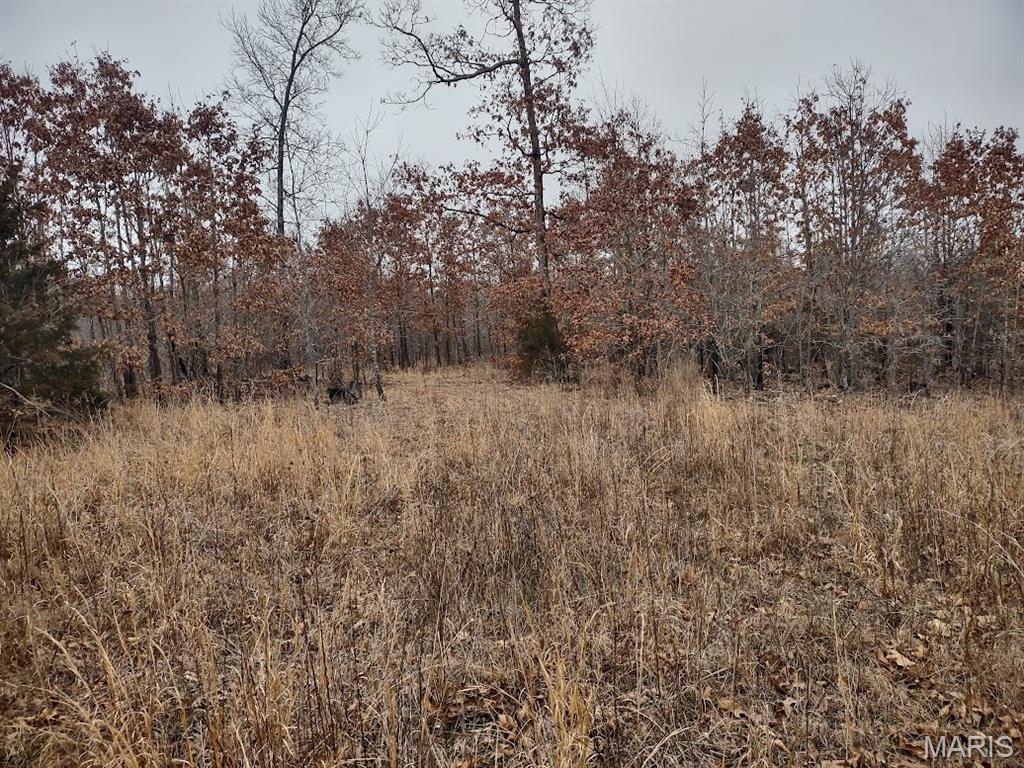 8850 State Hwy DD Niangua, MO 65713 - Photo 21 of 43