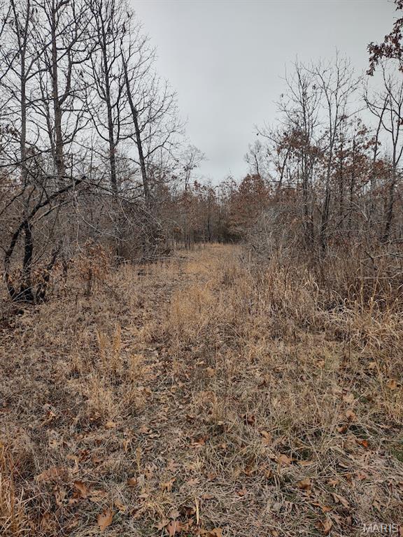 8850 State Hwy DD Niangua, MO 65713 - Photo 22 of 43