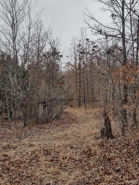 8850 State Hwy DD Niangua, MO 65713 - Photo 24 of 43