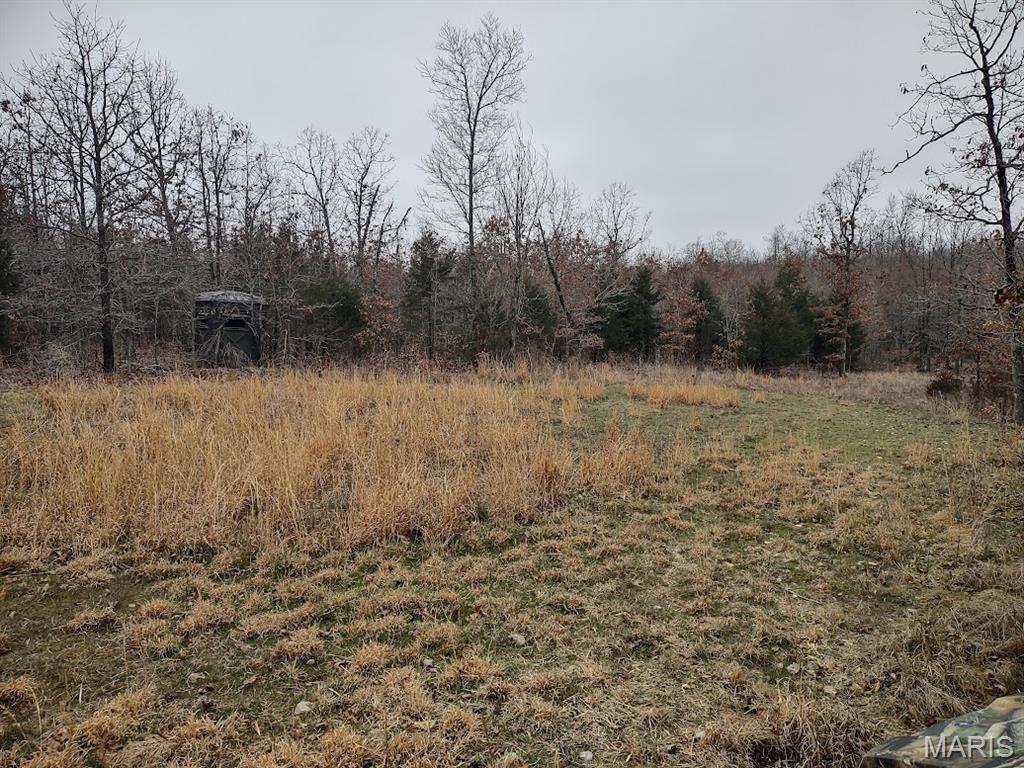 8850 State Hwy DD Niangua, MO 65713 - Photo 25 of 43