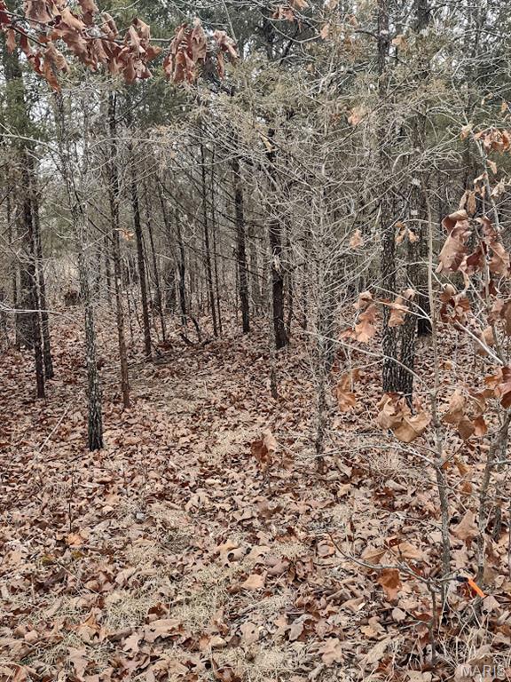8850 State Hwy DD Niangua, MO 65713 - Photo 26 of 43