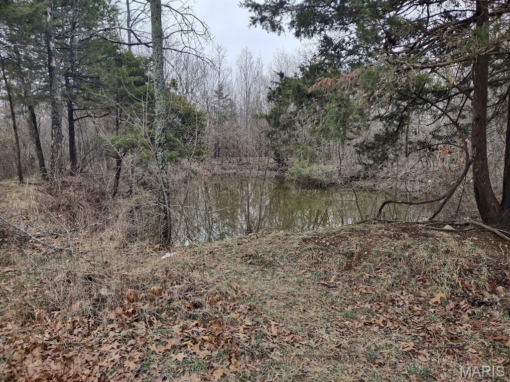 8850 State Hwy DD Niangua, MO 65713 - Photo 3 of 43