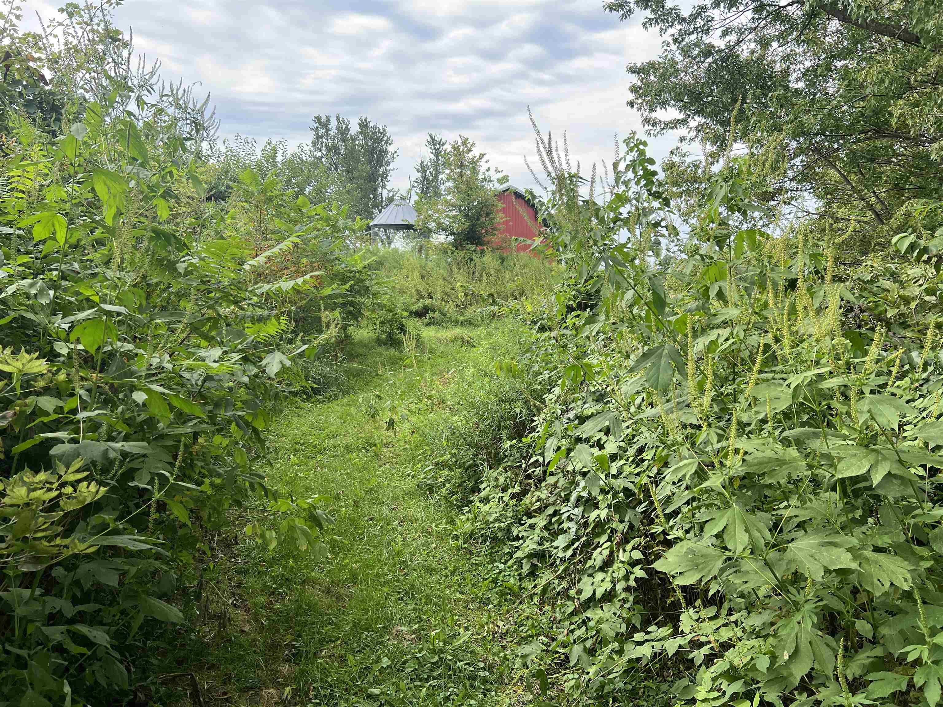 33412 County Road East Blue River, WI 53518 - Photo 31 of 59 Gallery Image 31