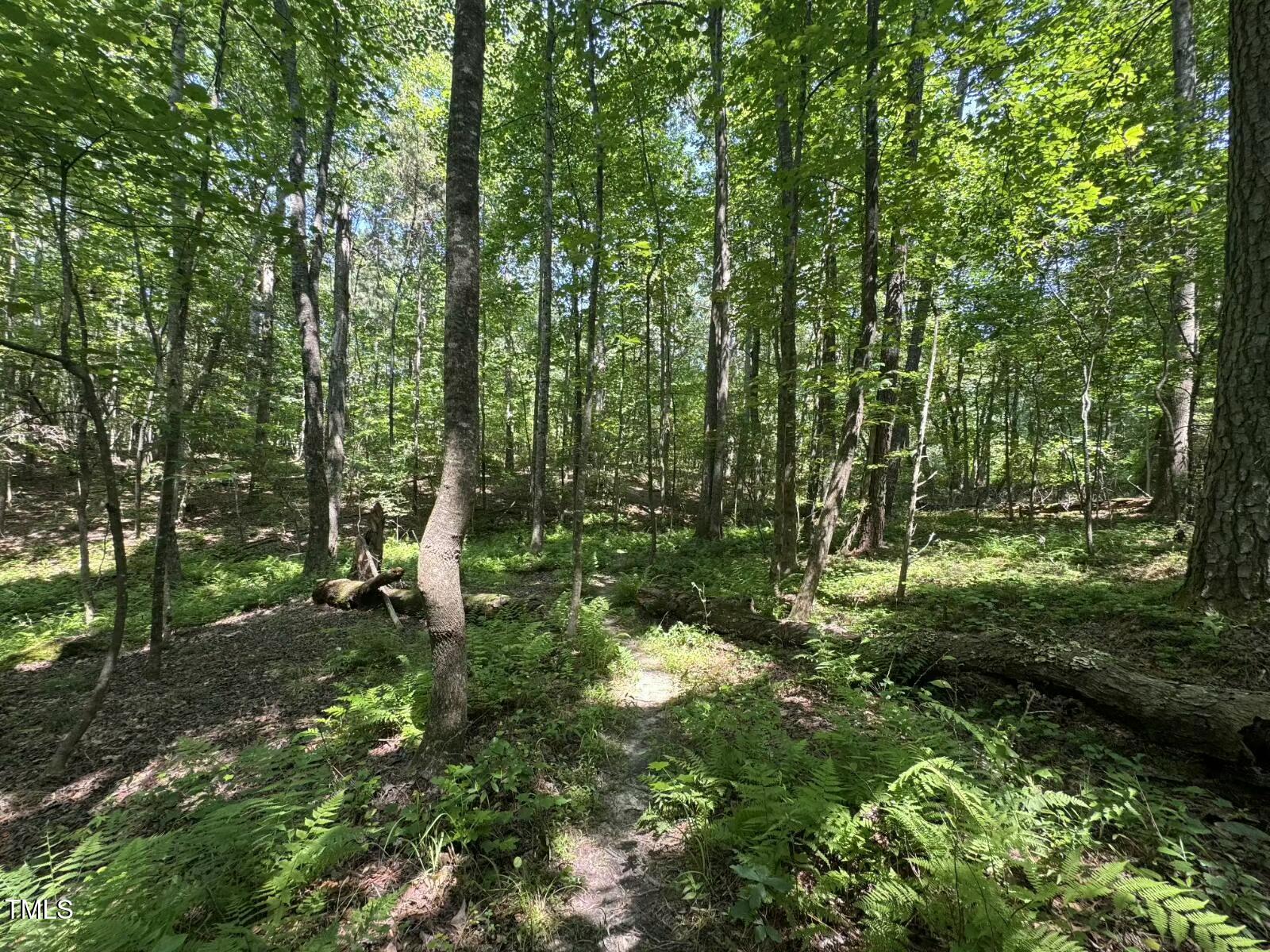 1355 Sykes Road Spring Hope, NC 27882 - Photo 35 of 39 image000000 (6)