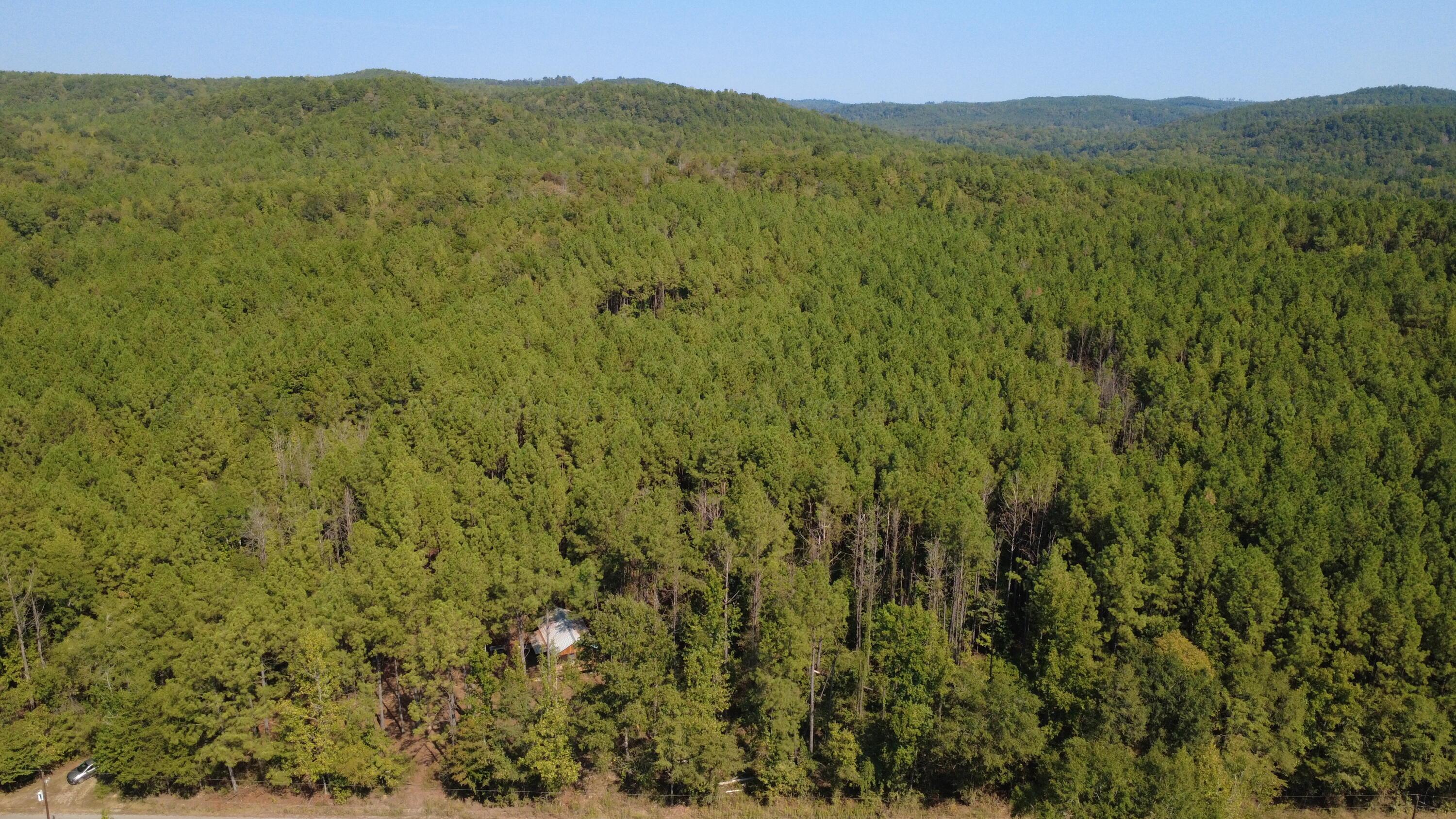 275 Pendley Road Berry, AL 35546 - Photo 15 of 20 Gallery Image 15