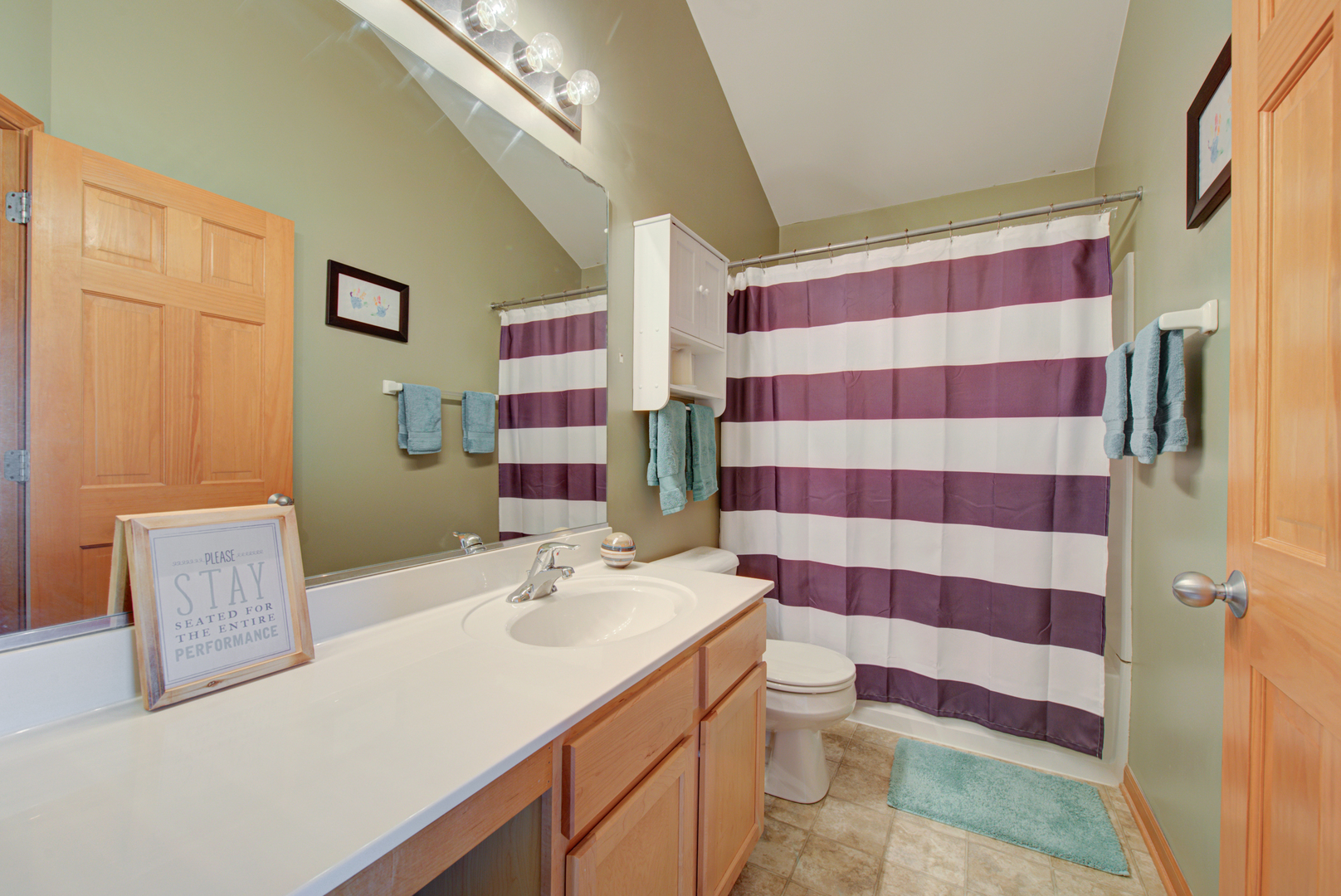 1430 Millbrook Drive Algonquin, IL 60102 - Photo 12 of 25 a bathroom with a sink a toilet a mirror and shower curtain