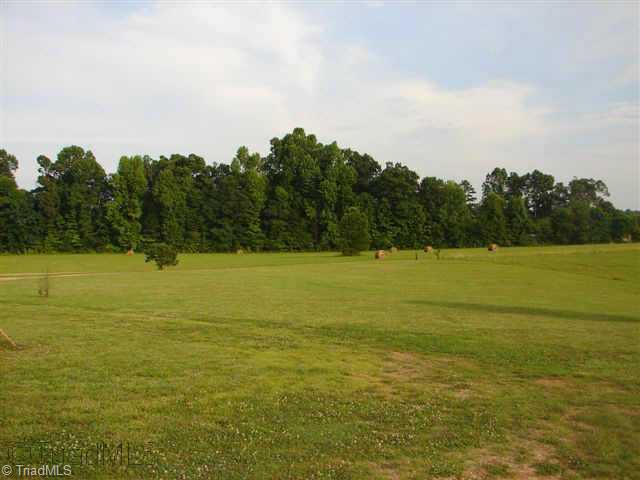 3935 D Timber Ridge Lake Road Liberty, NC 27298 - Photo 3 of 7 Other. Front Field