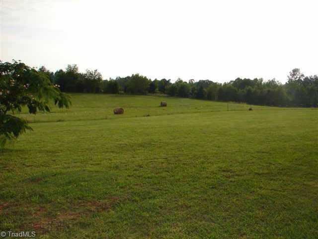 3935 D Timber Ridge Lake Road Liberty, NC 27298 - Photo 5 of 7 Other. Back Field