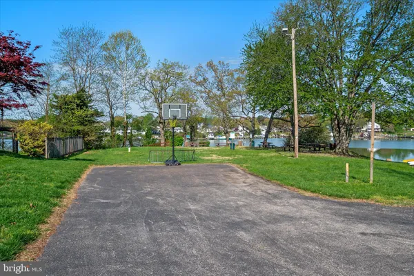 a view of a park with large trees