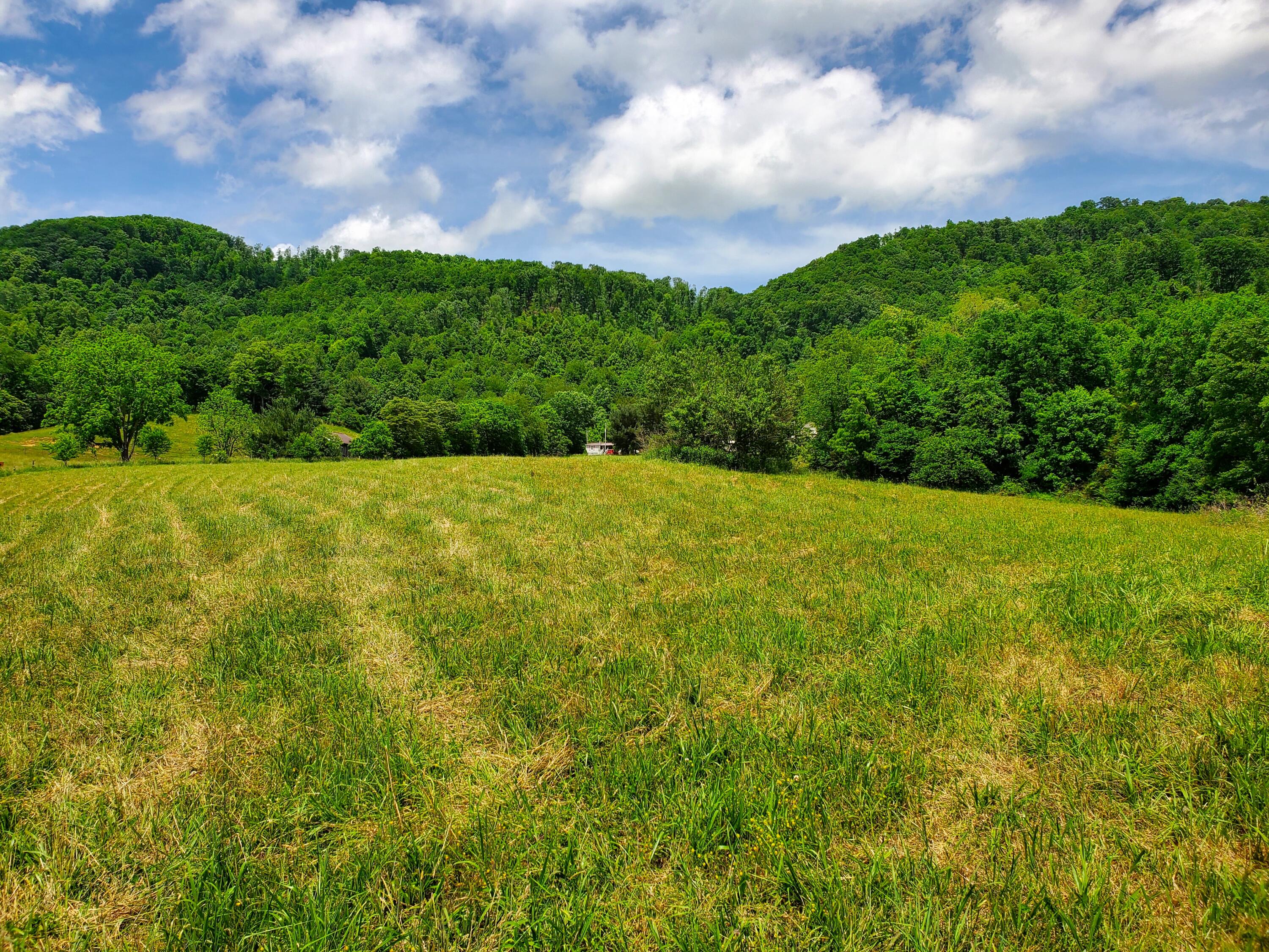 4584 Kane Gap Road Duffield, VA 24244 - Photo 1 of 15 Kane Gap Rd