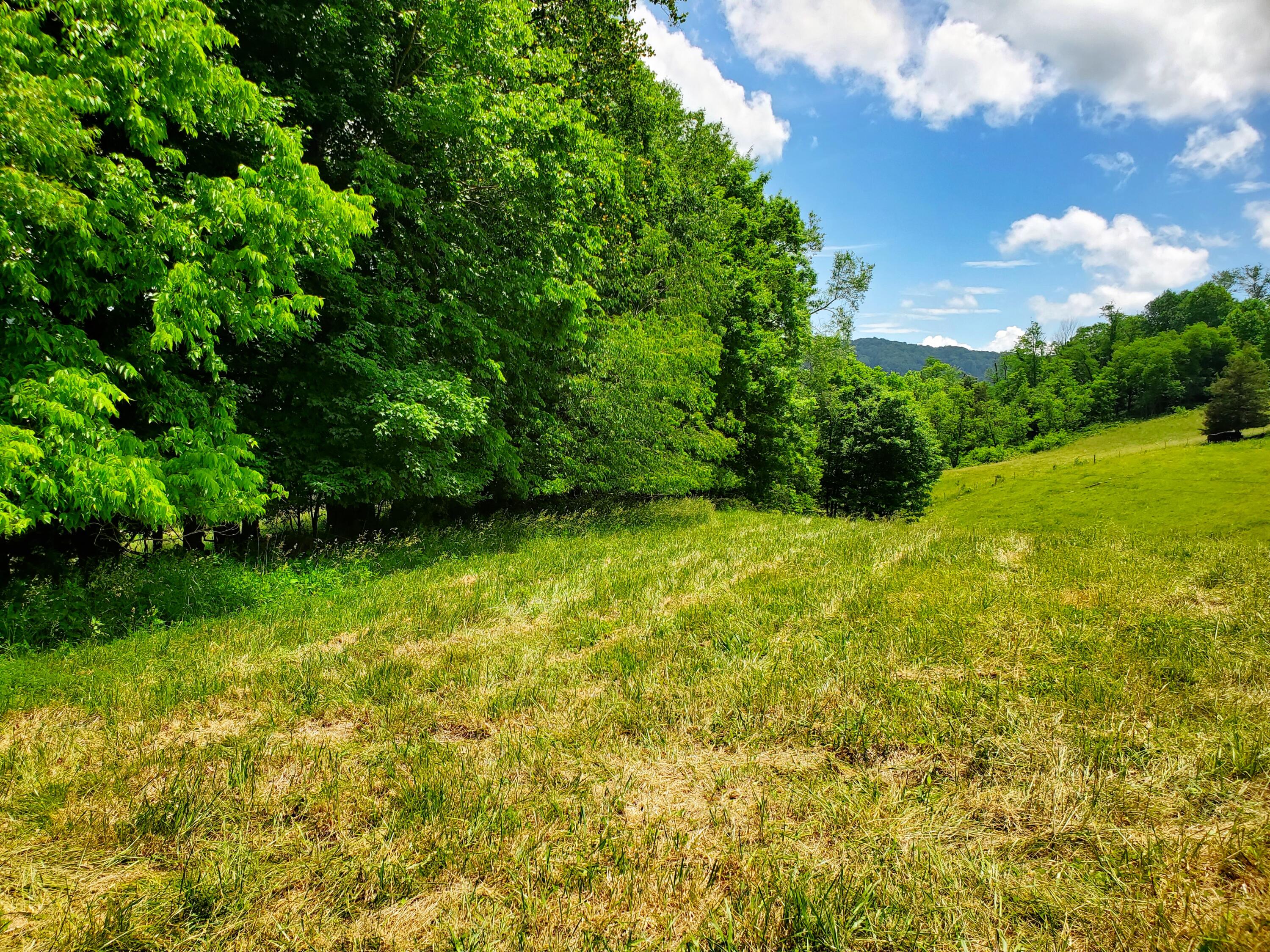 4584 Kane Gap Road Duffield, VA 24244 - Photo 13 of 15 Back of Property Boundary1