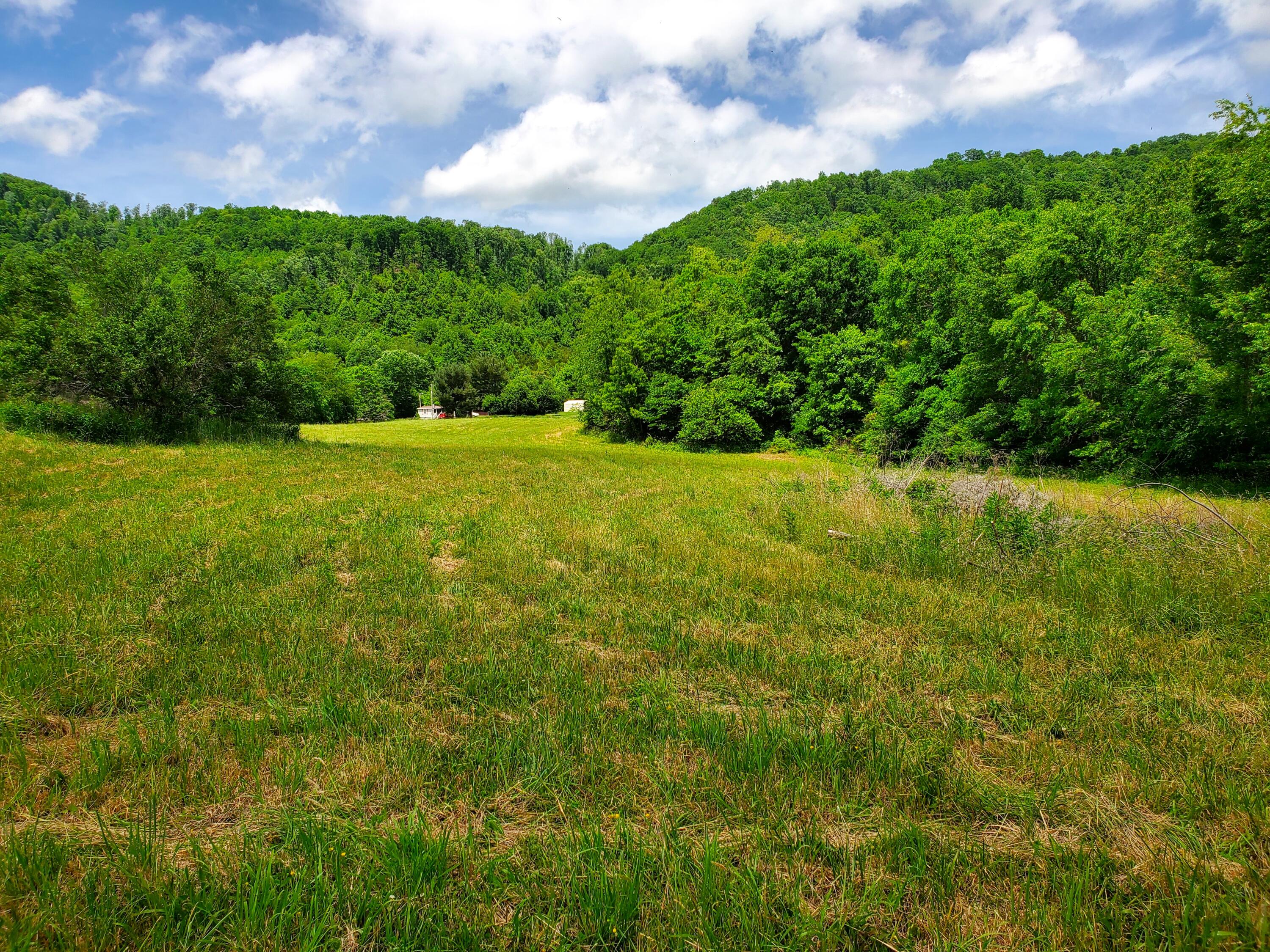 4584 Kane Gap Road Duffield, VA 24244 - Photo 2 of 15 Kane Gap Rd