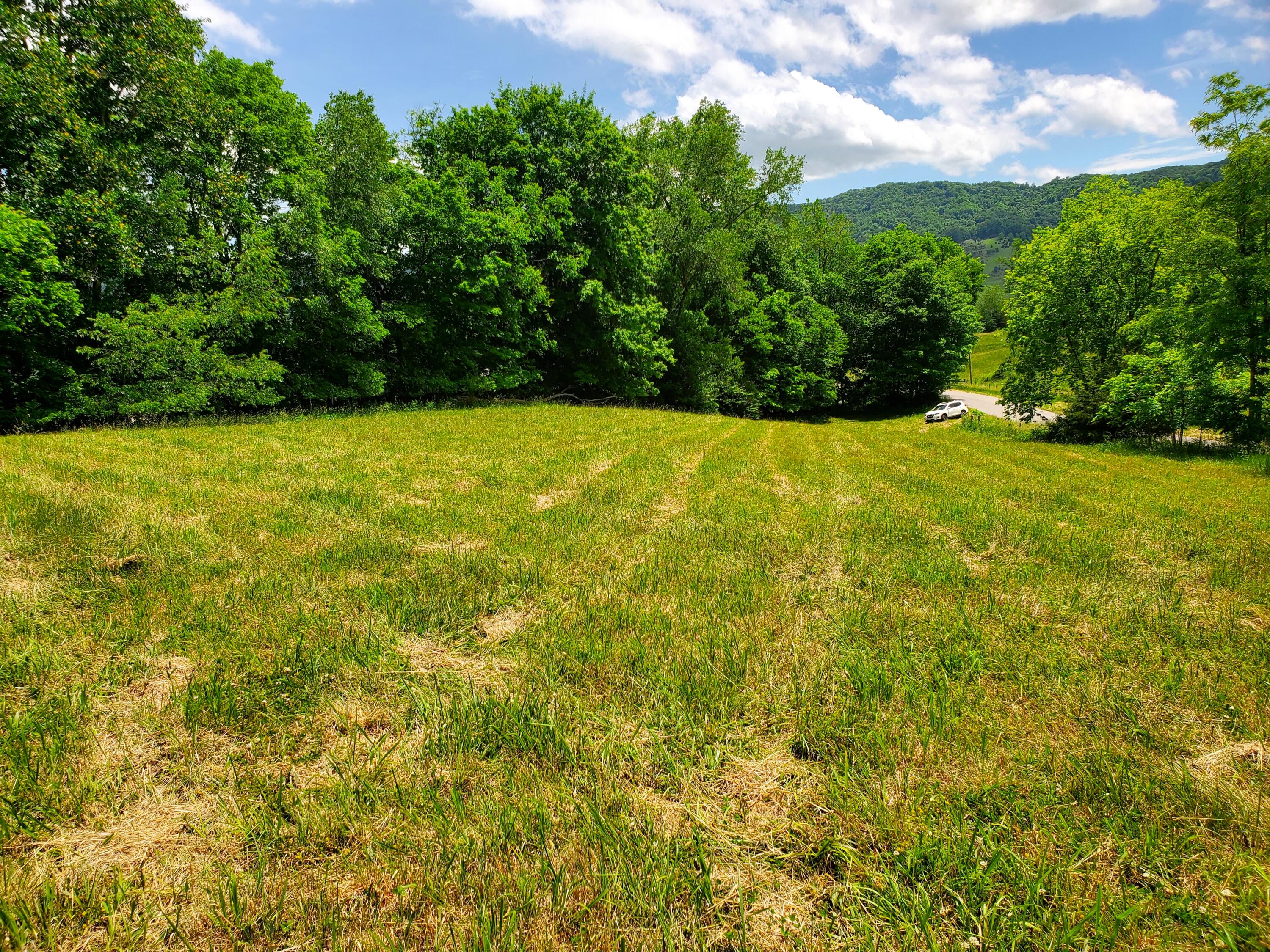 4584 Kane Gap Road Duffield, VA 24244 - Photo 3 of 15 Kane Gap Rd