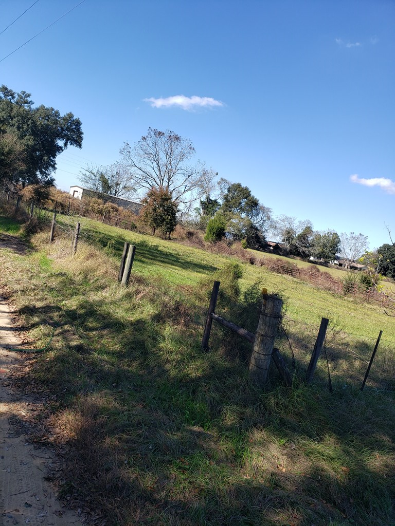 1556 Doyle Holland Road Slocomb, AL 36375 - Photo 33 of 38