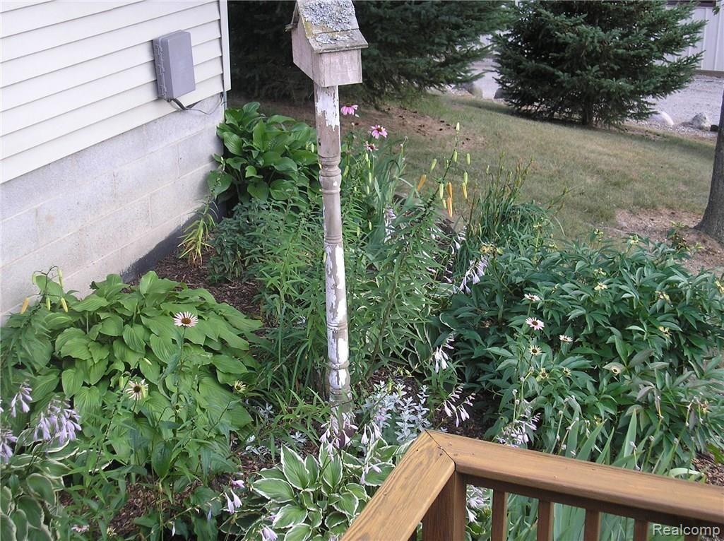 7237 Sanilac Road Kingston, MI 48741 - Photo 10 of 35 7237 Sanilac landscape 4.jpg