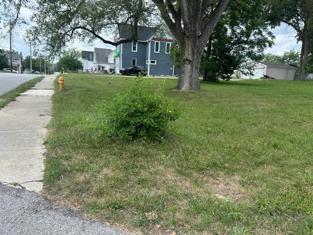 a view of a yard in front of a house with large trees