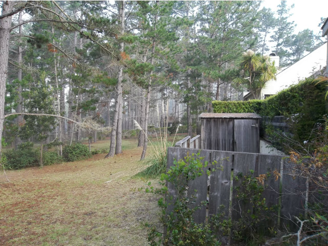 3132 Spruance Road Pebble Beach, CA 93953 - Photo 24 of 25 a backyard of a house with lots of green space