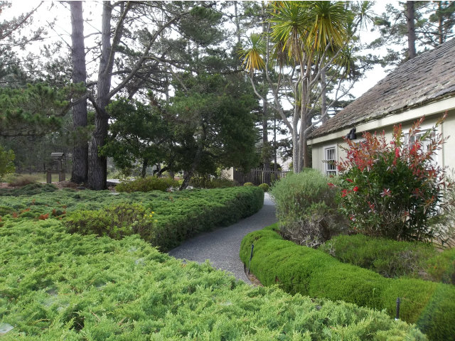 3132 Spruance Road Pebble Beach, CA 93953 - Photo 6 of 25 a view of a garden with a tree