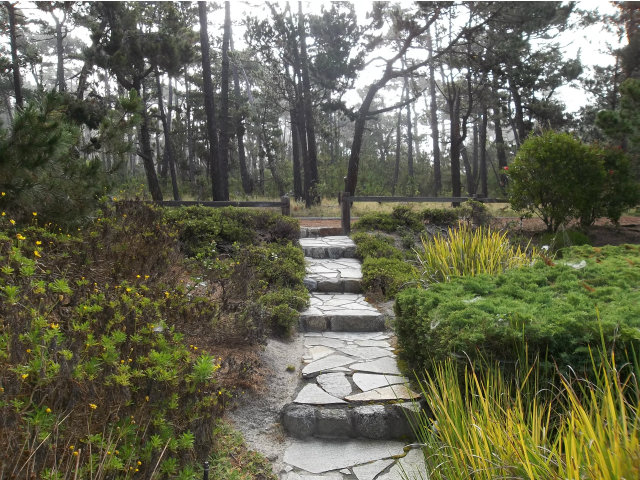 3132 Spruance Road Pebble Beach, CA 93953 - Photo 8 of 25 a view of a garden with large trees