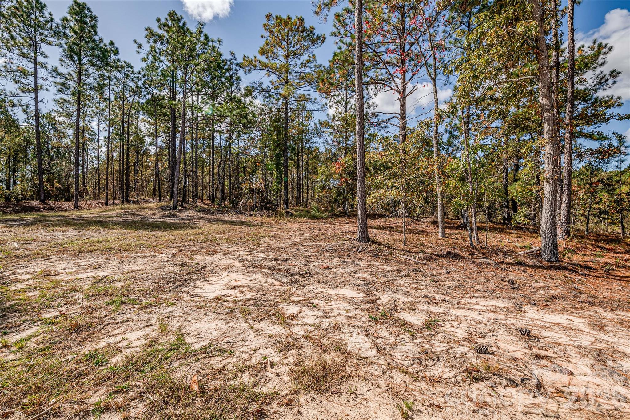 8684 Teals Mill Road Cheraw, SC 29520 - Photo 21 of 26