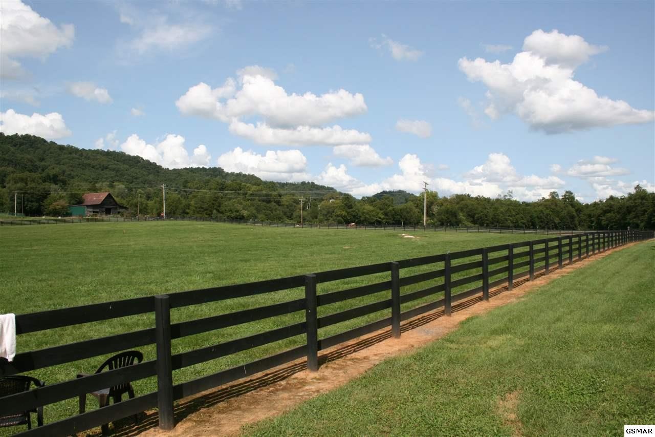 725 Brooks Road Dandridge, TN 37725 - Photo 11 of 19 Gallery Image 11