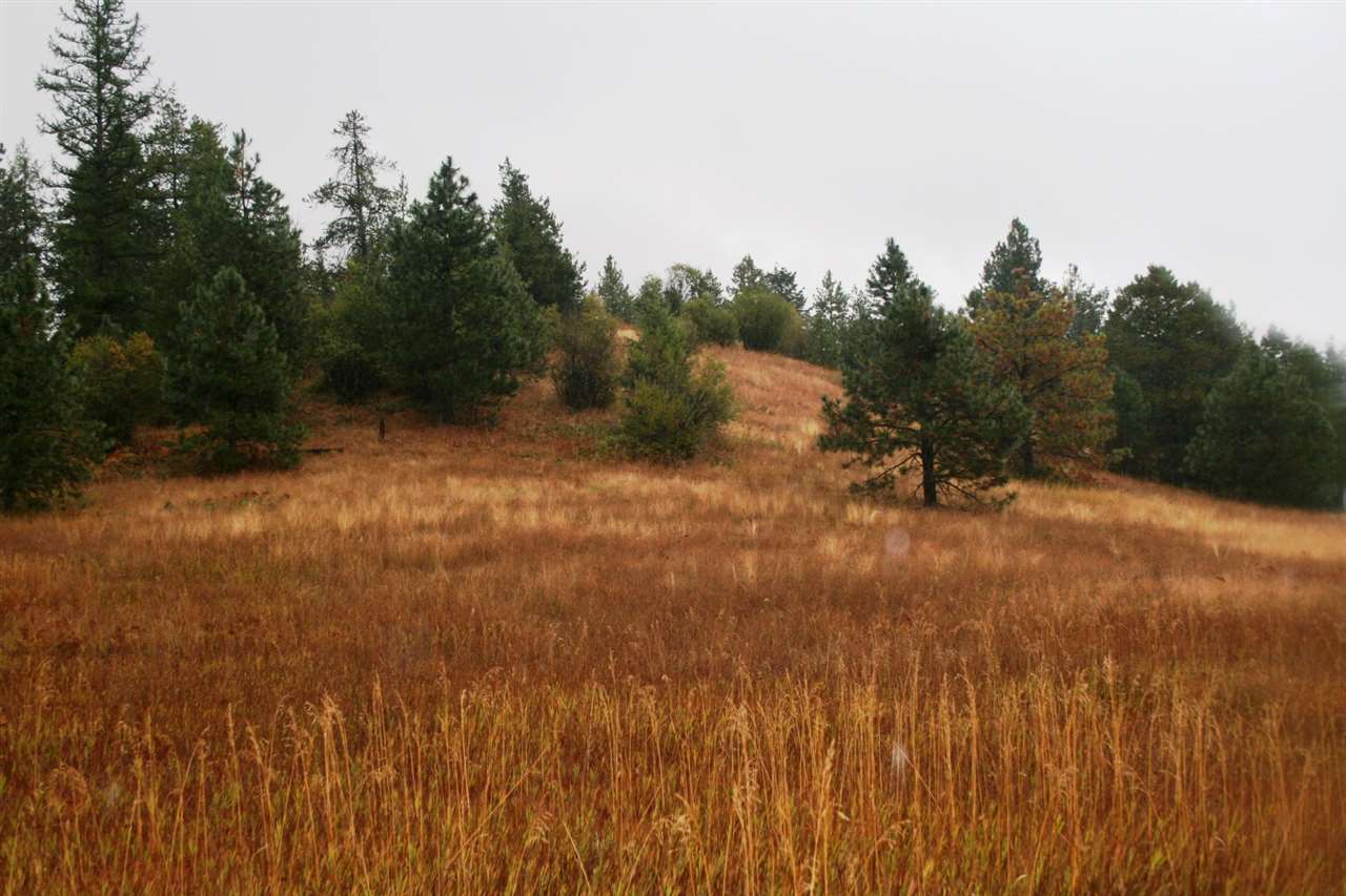 0 Whittier Road Clayton, WA 99110 - Photo 3 of 15