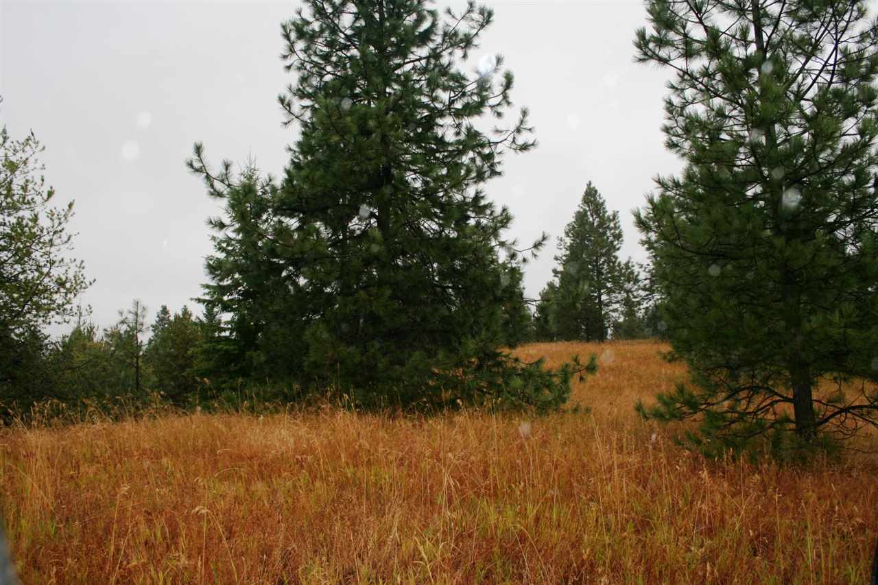 0 Whittier Road Clayton, WA 99110 - Photo 8 of 15