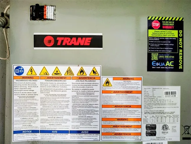 a bathroom with a toilet and a rug