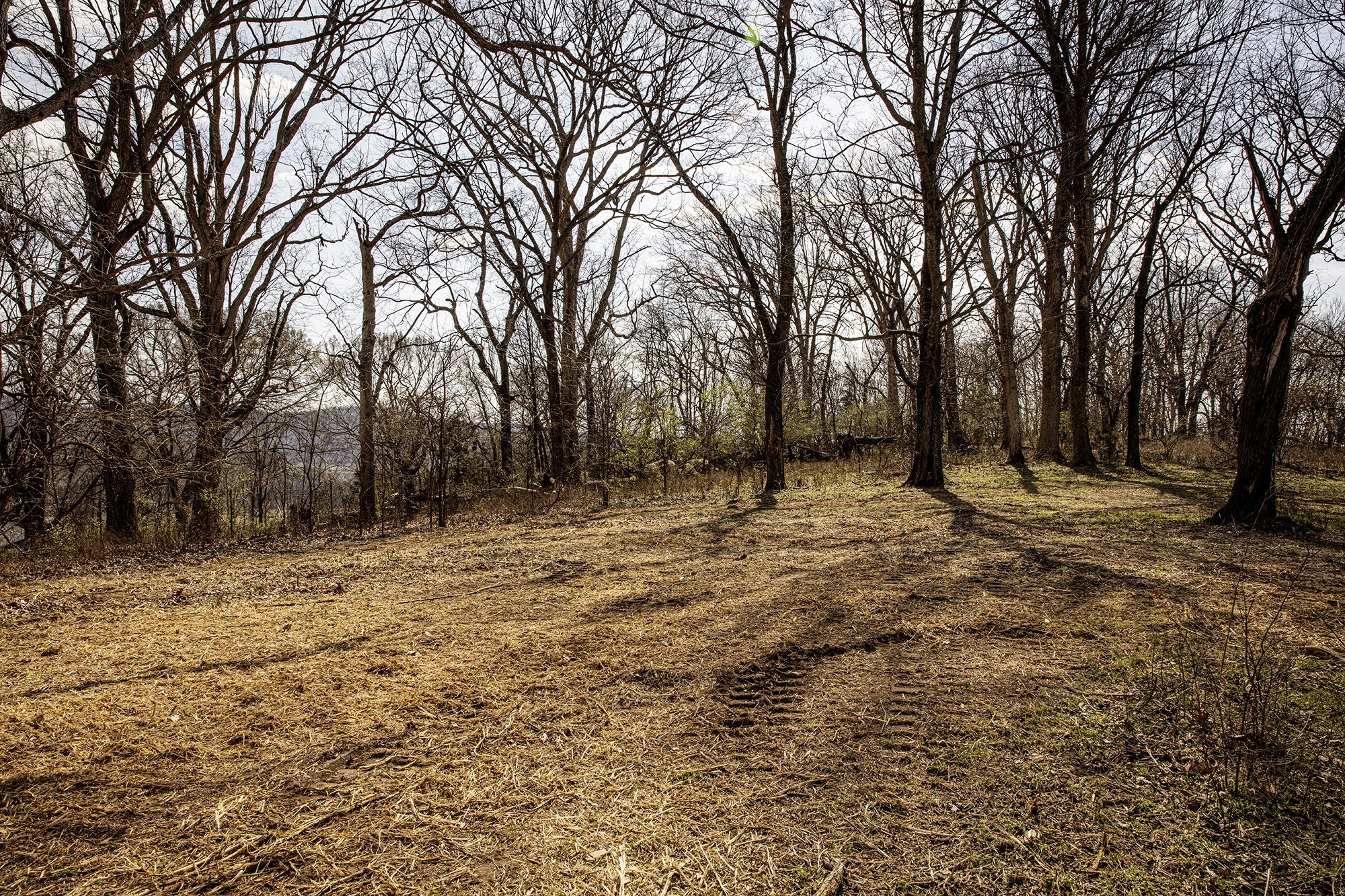 9441 Clovercroft Road Franklin, TN 37067 - Photo 11 of 22 Gallery Image 11