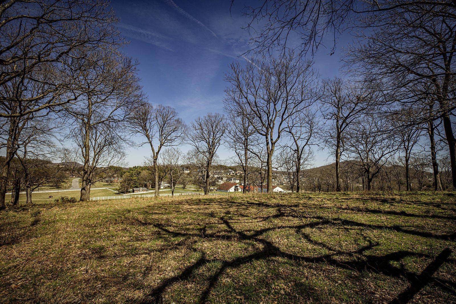 9441 Clovercroft Road Franklin, TN 37067 - Photo 8 of 22 Gallery Image 8