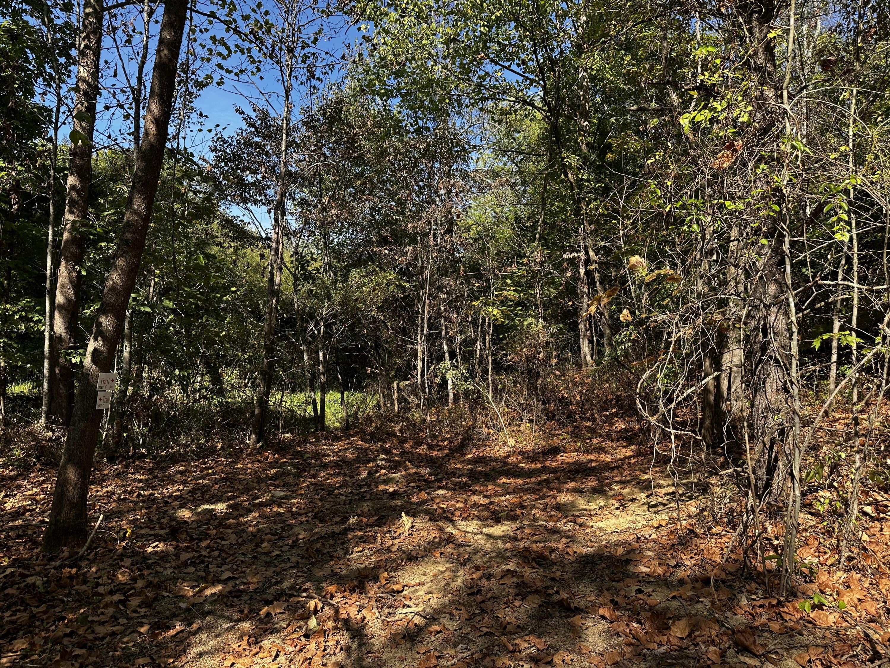 0 Dutch Ridge Road, Unit TRACT 5 AT DUTCH RIDGE) New Straitsville, OH 43766 - Photo 41 of 49 20240920_150748140_iOS