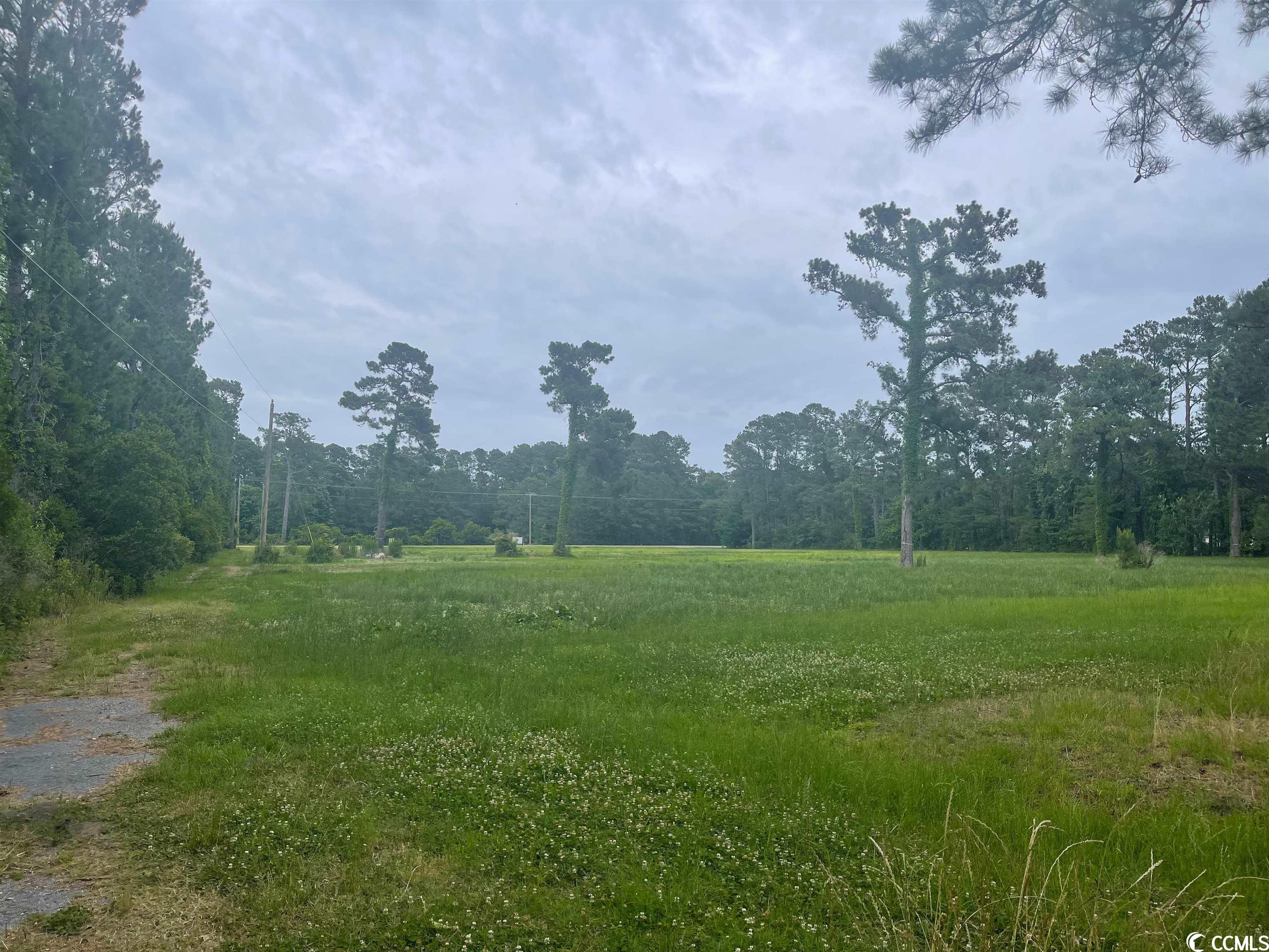 10290 Mcdowell Shortcut Road Murrells Inlet, SC 29576 - Photo 7 of 8 Gallery Image 7
