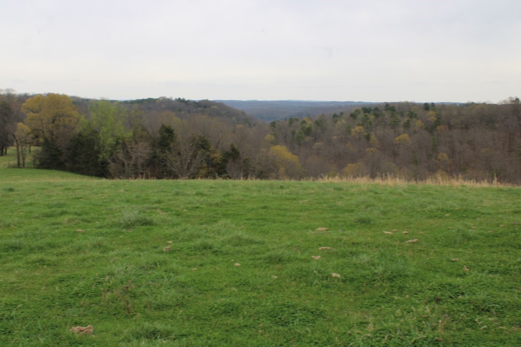 416 New Hope Road Marshall, AR 72650 - Photo 28 of 60 pasture - view