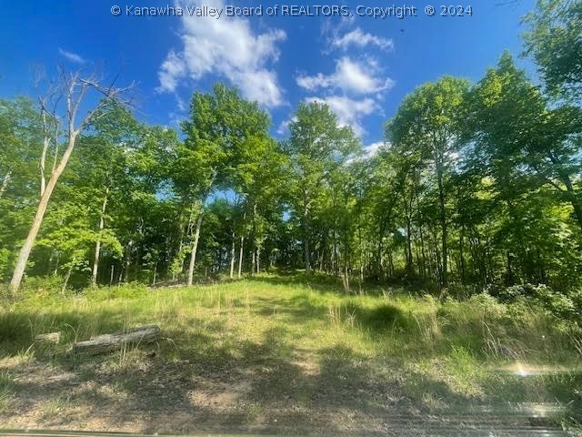 0 Rt 62 Road Millwood, WV 25262 - Photo 9 of 13 Gallery Image 9