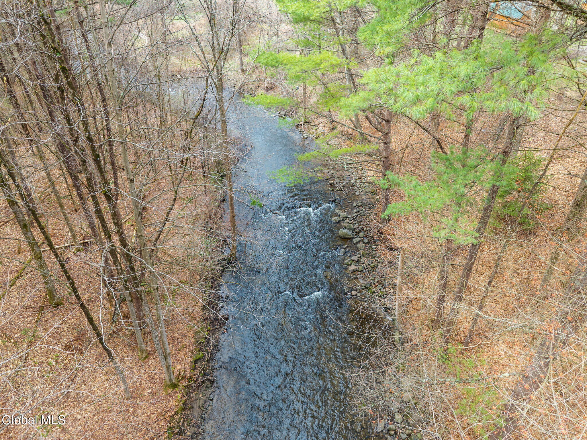 3704 Lewis Road Milton, NY 12020 - Photo 7 of 49 48-3704LewisRd_48