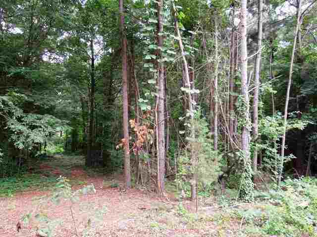 Lot 18 Magnolia Terrace Pendleton, SC 29670 - Photo 4 of 5