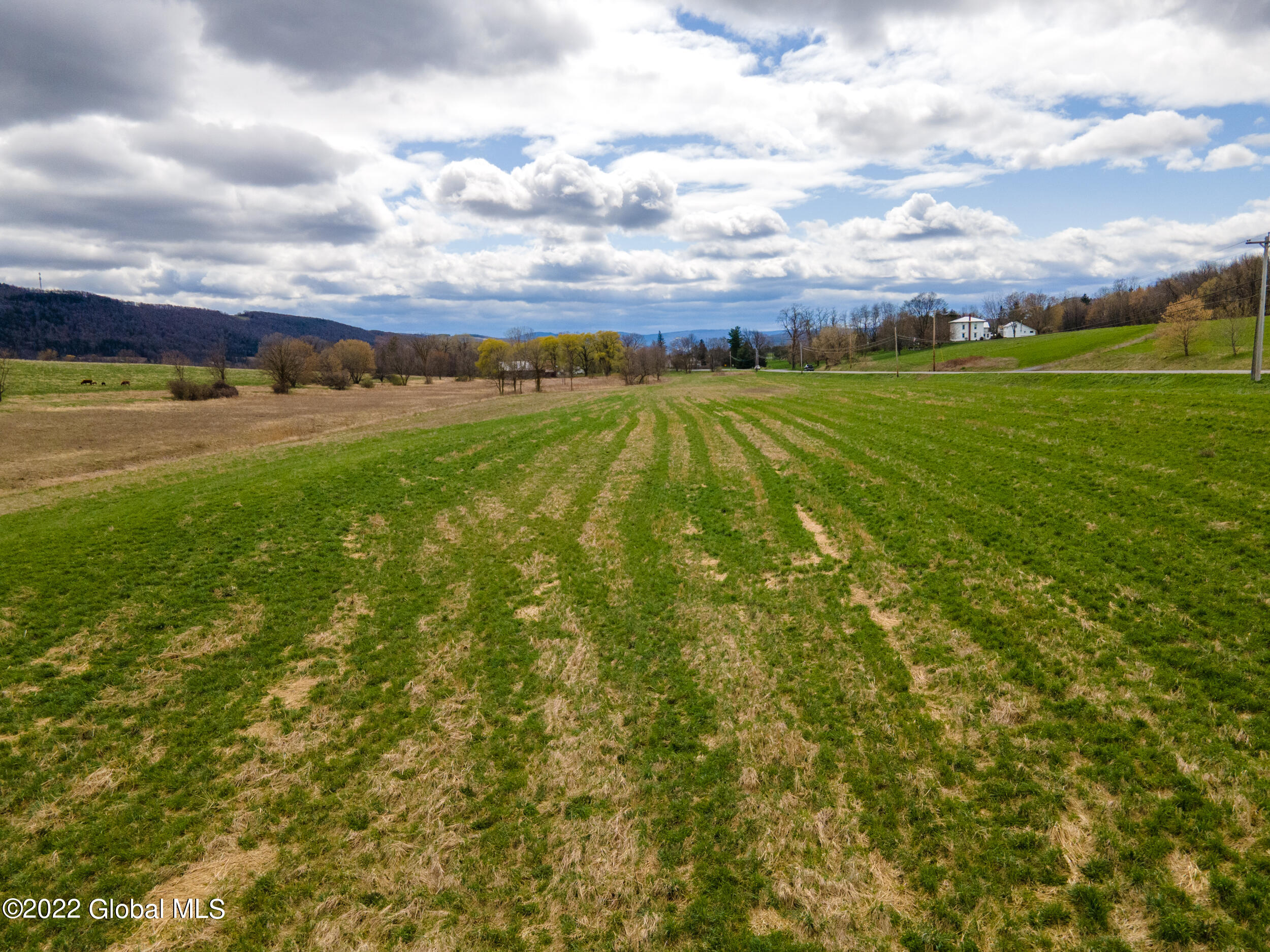0 Barnerville Road Cobleskill, NY 12043 - Photo 1 of 11 BarnervilleRdLand-9