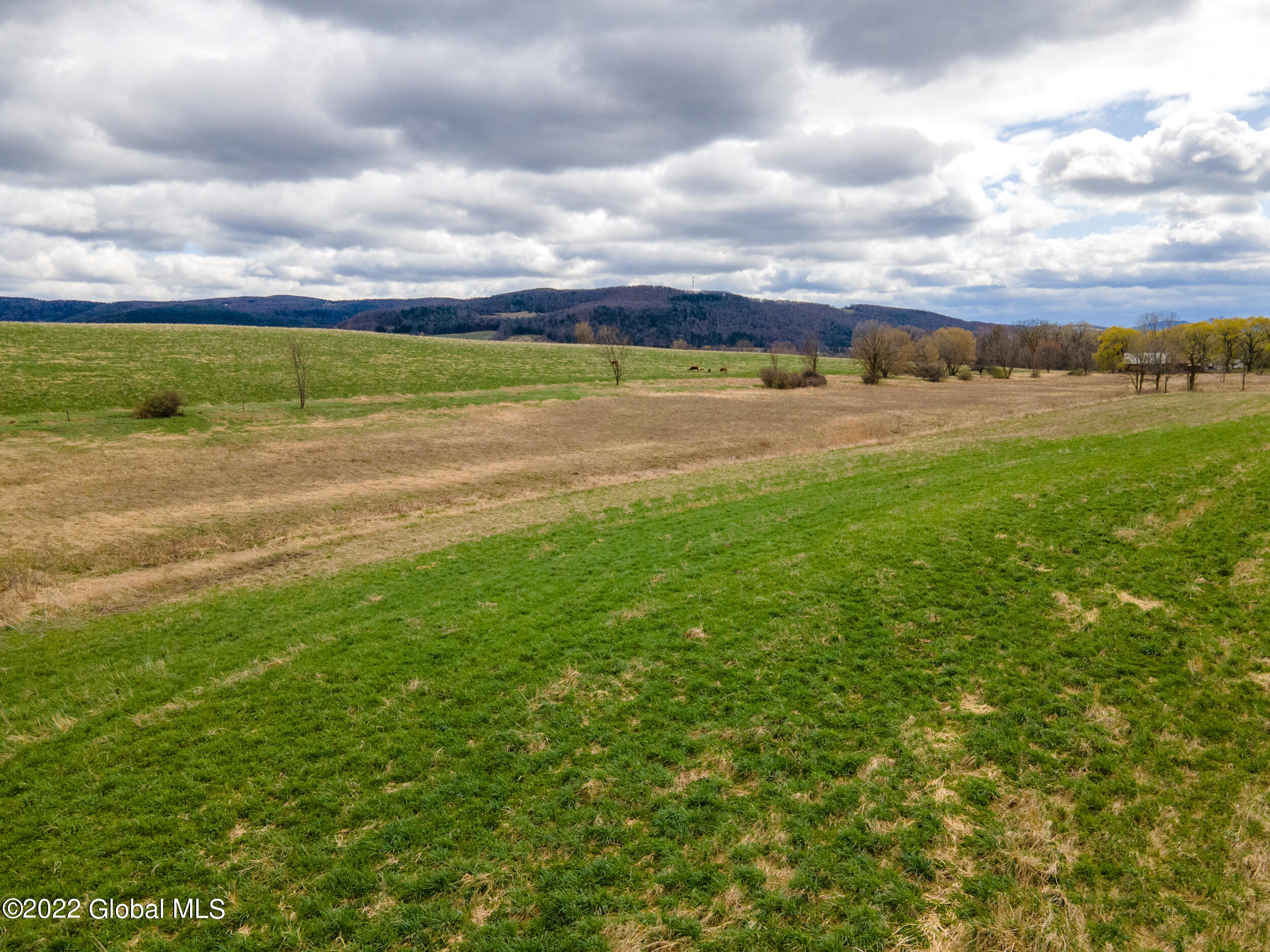 0 Barnerville Road Cobleskill, NY 12043 - Photo 3 of 11 BarnervilleRdLand-10