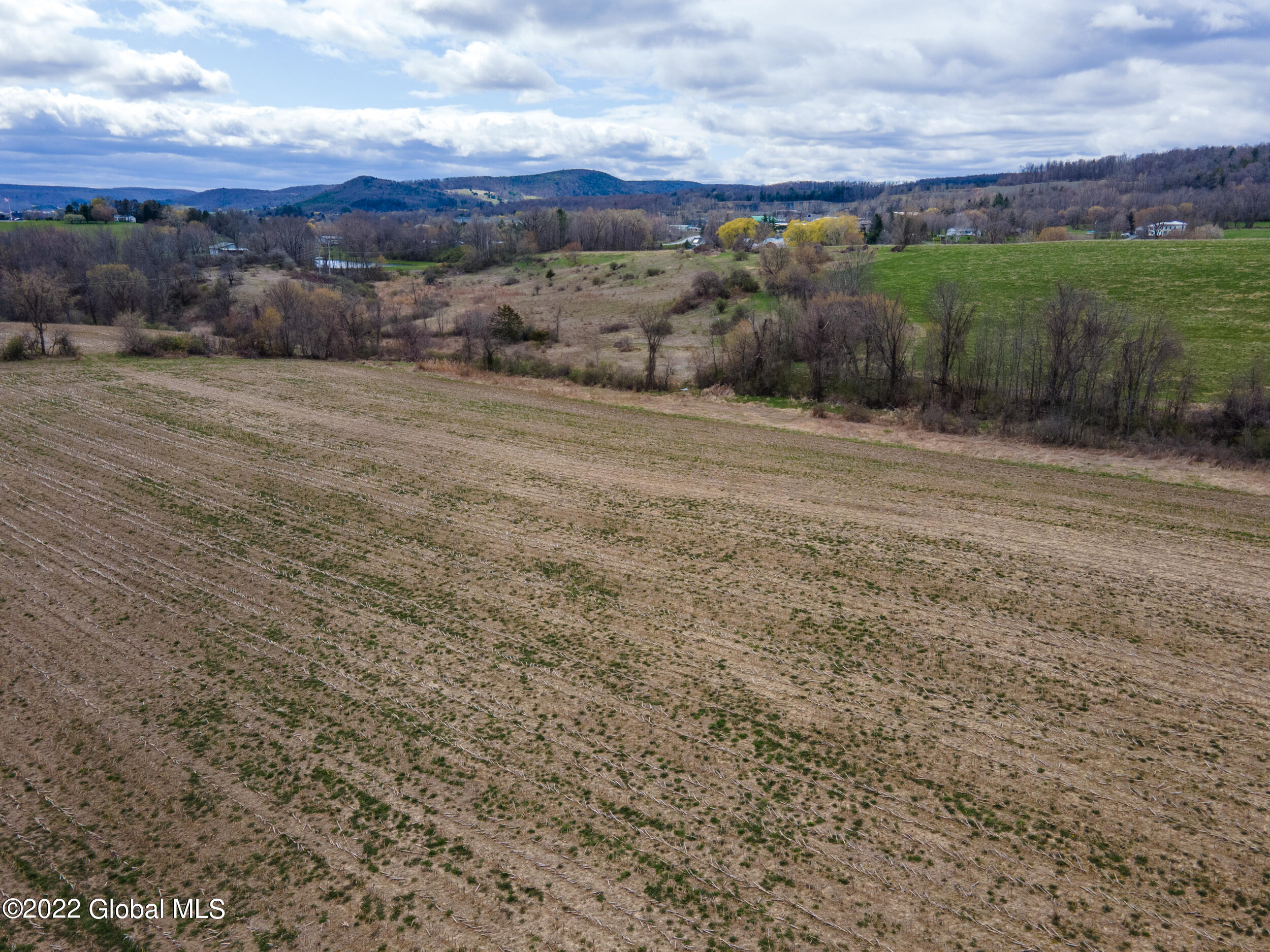 0 Barnerville Road Cobleskill, NY 12043 - Photo 4 of 11 BarnervilleRdLand-6